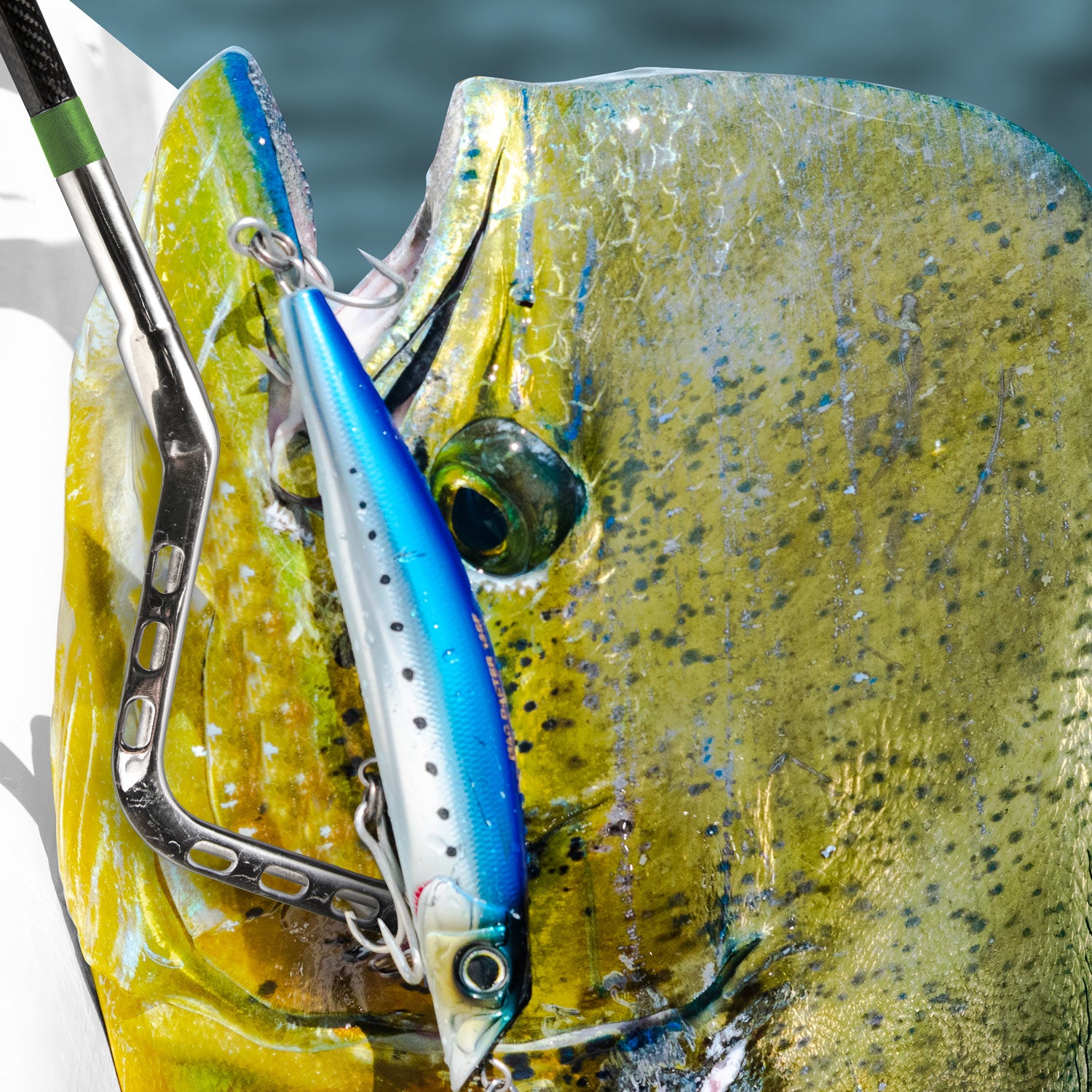 MHX Talon Gaff Hooks MHX Talon Gaff Hooks